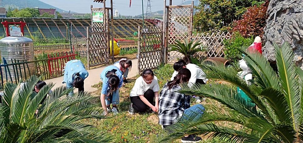 我院学生开展劳动实践活动